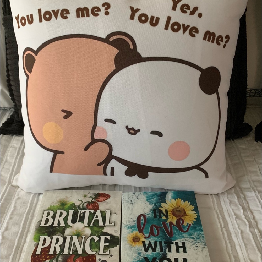 New pillow, with 2 new books